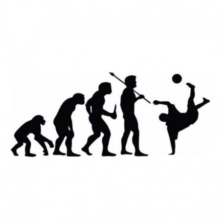 STENSKA NALEPKA " EVOLUCIJA "