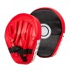 BOKSARSKI SET -TARCA  Z ROKAVICAMI