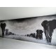 FOTOTAPETA " AFRIKA-SLONI " 200 x 100 cm