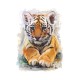 STENSKA NALEPKA " TIGER-MLADIČEK "