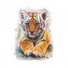 STENSKA NALEPKA " TIGER-MLADIČEK "
