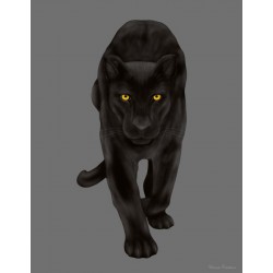 STENSKA NALEPKA " ČRNI PANTER VI"