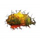 STENSKA NALEPKA " BEAUTY OF NATURE" ( 40*60 cm )